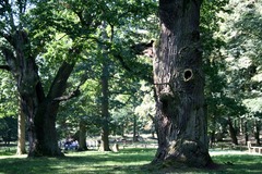 Killikus&reg; Fotographie